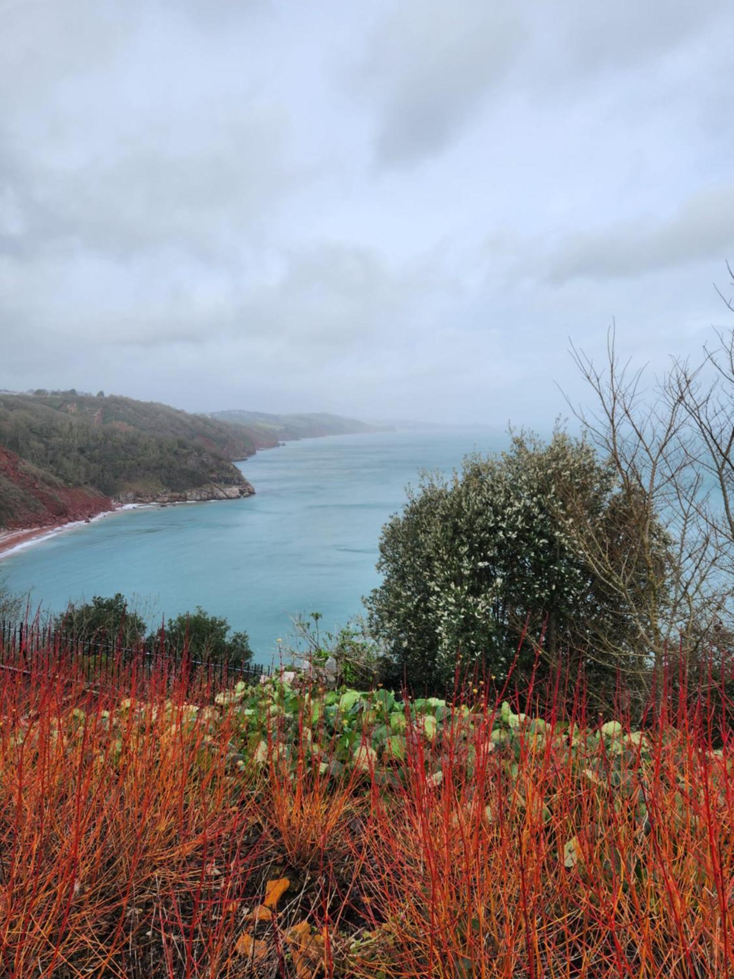 Rose Court Holiday Apartments Torquay Kültér fotó