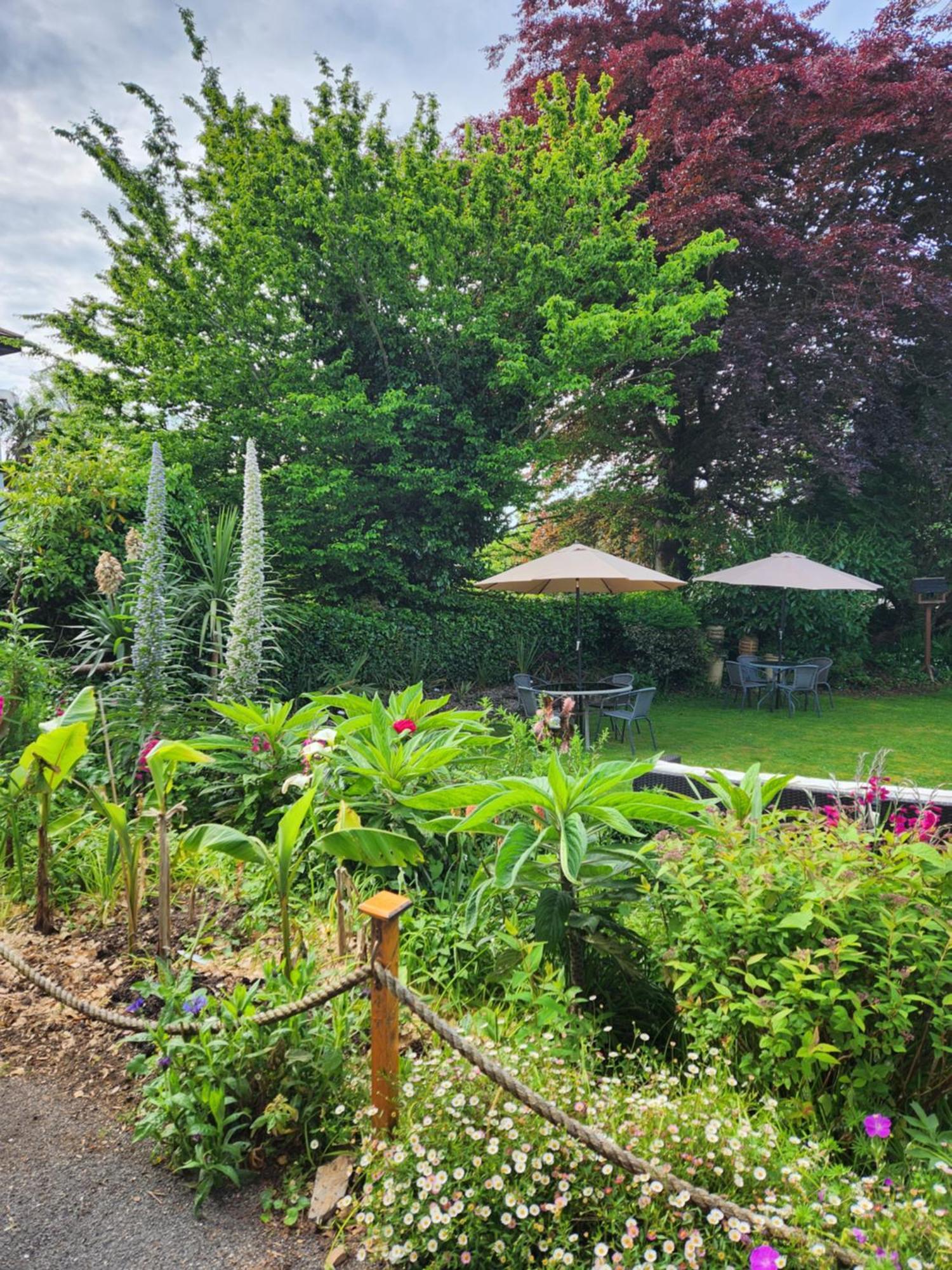 Rose Court Holiday Apartments Torquay Kültér fotó