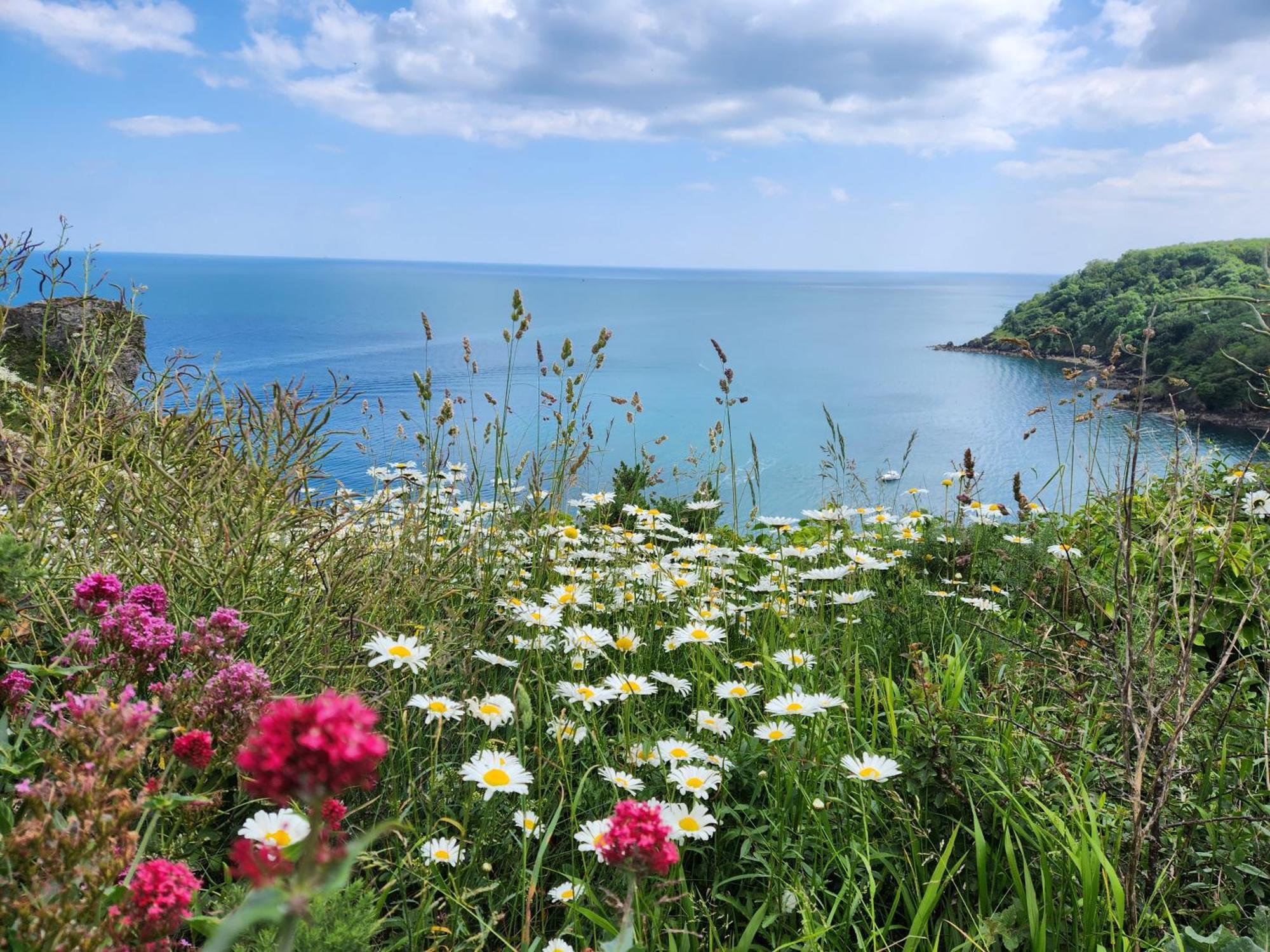 Rose Court Holiday Apartments Torquay Kültér fotó