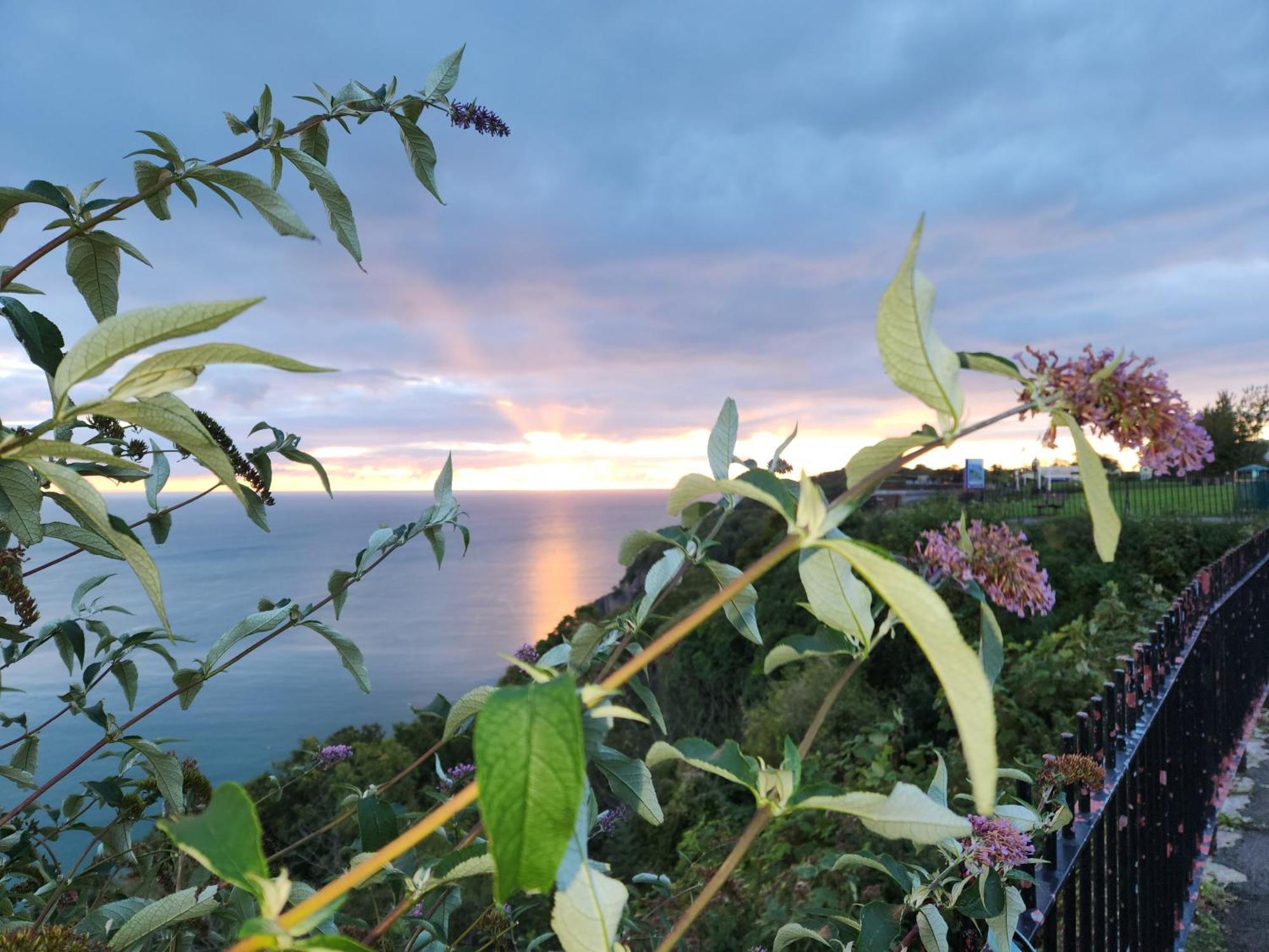 Rose Court Holiday Apartments Torquay Kültér fotó