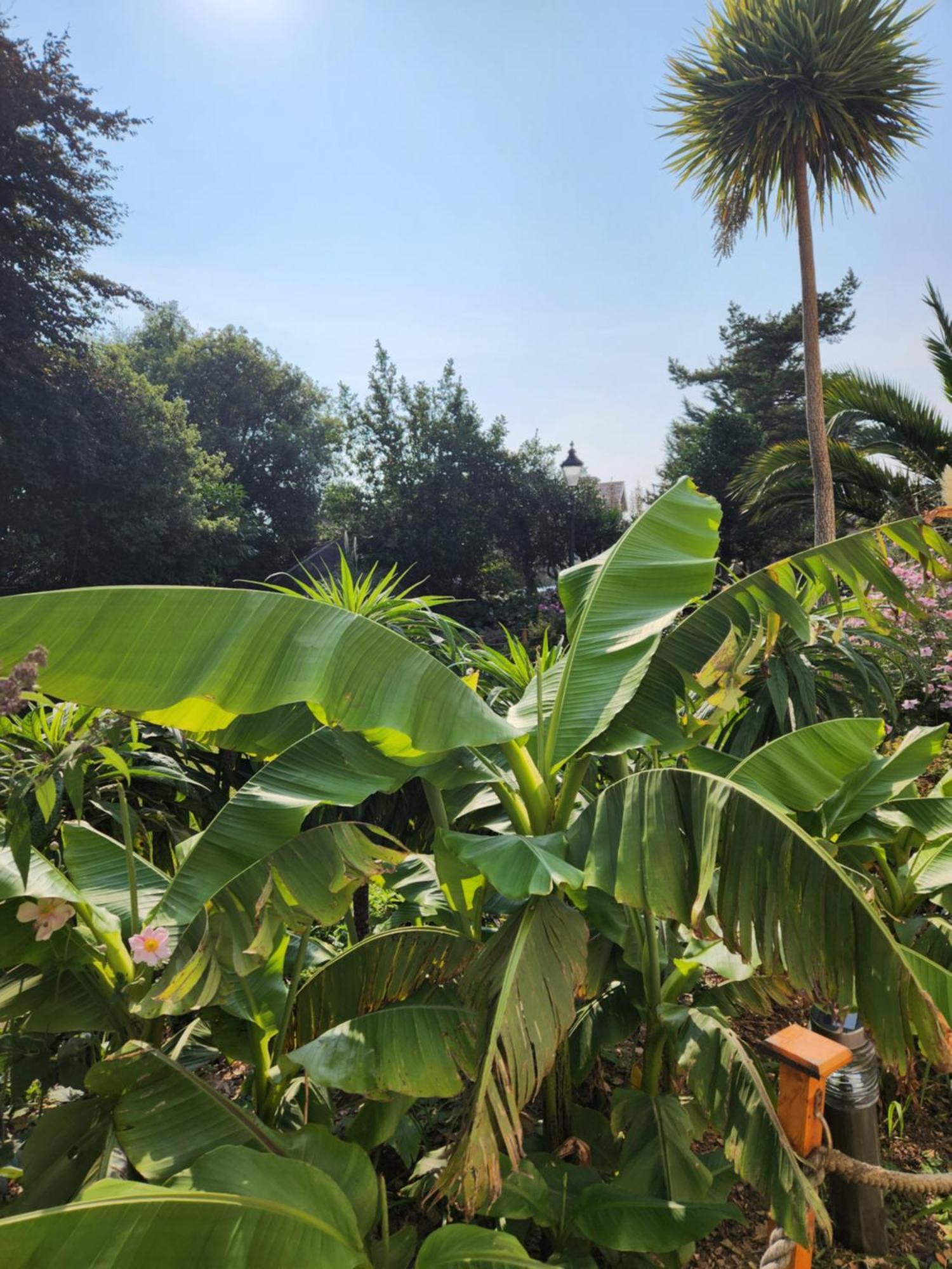 Rose Court Holiday Apartments Torquay Kültér fotó