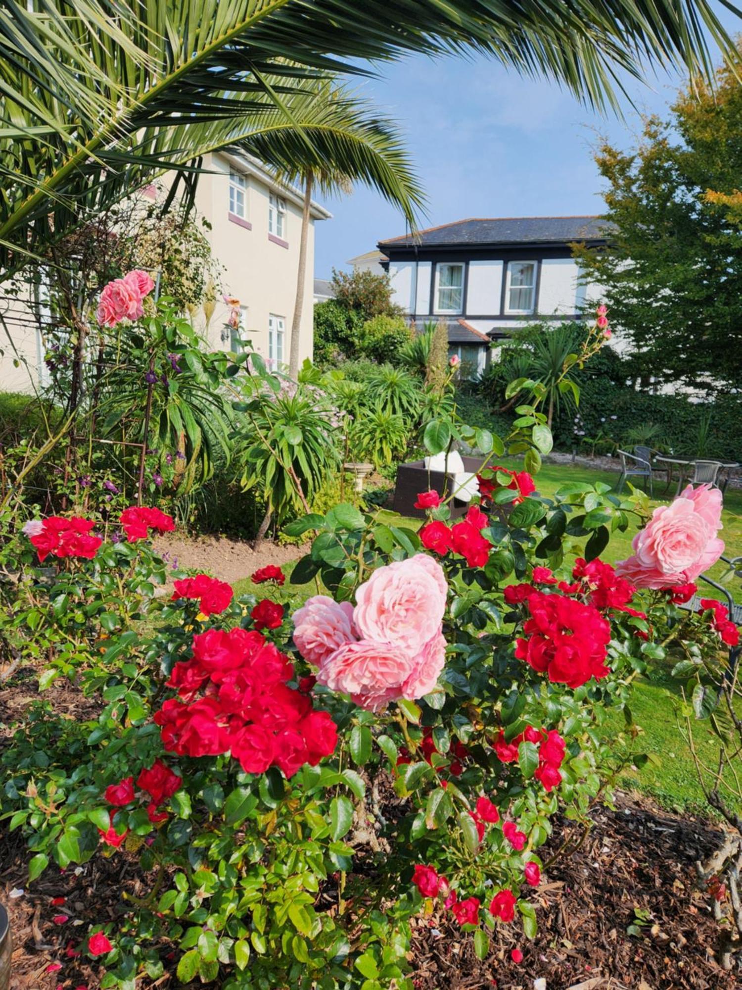 Rose Court Holiday Apartments Torquay Kültér fotó